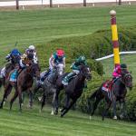 Noel’s Weekend Winners: Tackling a Terrific Travers Day Card